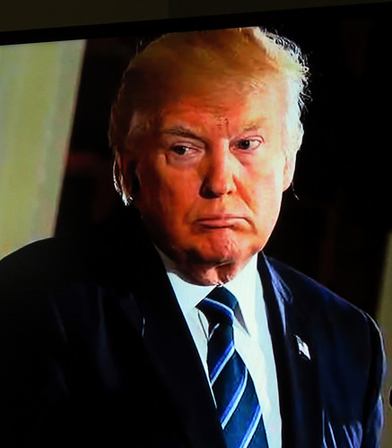 With #BigBabyTrump we get a package deal of four people as president for the price of one. by kennethkonica Jared kushner photo