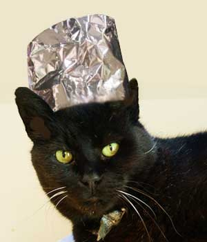 cat-with-tin-foil-hat by jeffhall2069 Tin foil hat photo