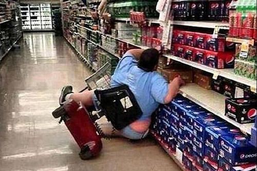 Too fat to scoot Too fat to scoot