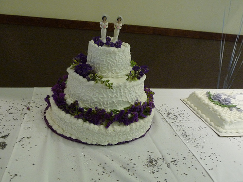 P1000385 by basykes Gay wedding cake photo