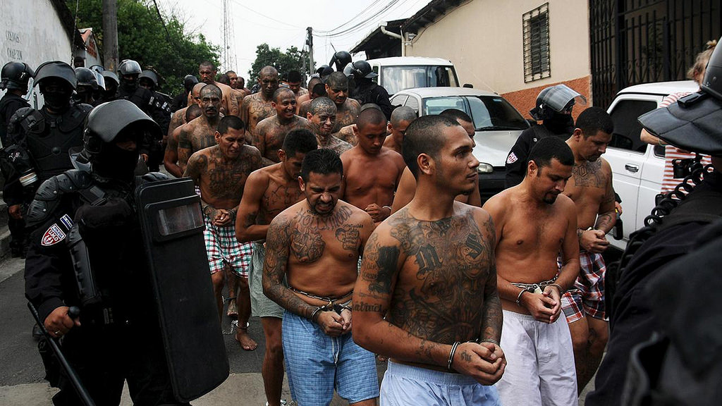 MS13 gang MS13 gang